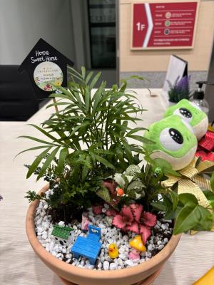 (休-소식) 수원시여성문화공간휴 "손바닥 정원" 조성 목록사진