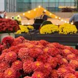 (休-소식) 2022년 국화뜨락음악회 목록사진